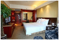 2013國際鈷鋰行業(yè)論壇