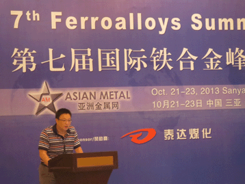 2013國際戰(zhàn)略金屬峰會