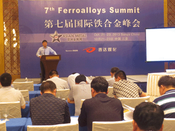 2013國際戰(zhàn)略金屬峰會