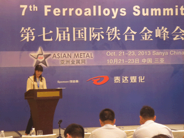 2013國際戰(zhàn)略金屬峰會