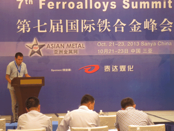 2013國際戰(zhàn)略金屬峰會