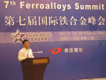 2013國際戰(zhàn)略金屬峰會
