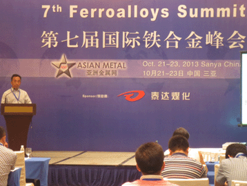 2013國際戰(zhàn)略金屬峰會