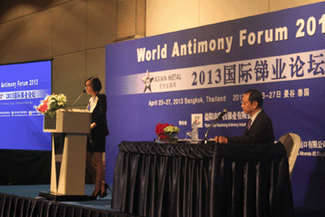 2013國際銻業(yè)論壇