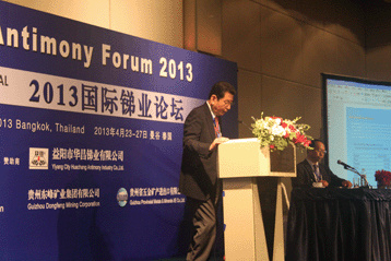 2013國際銻業(yè)論壇