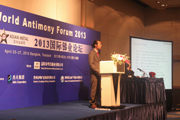 2013國際銻業(yè)論壇