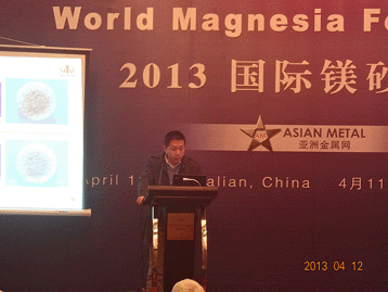 2013國(guó)際鎂砂論壇