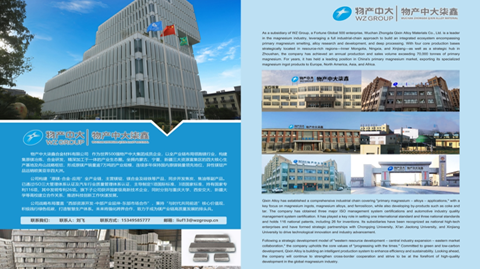 第十三屆國際鎂業(yè)峰會