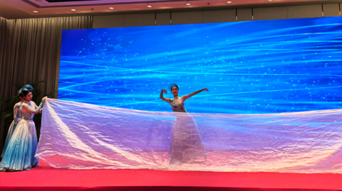 第十一屆國(guó)際銻業(yè)論壇