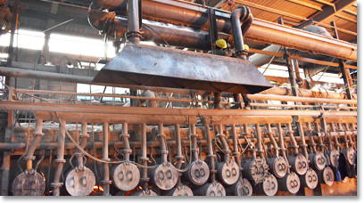 公司圖片-亞洲金屬